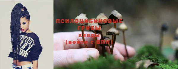 мяу мяу мука Покачи