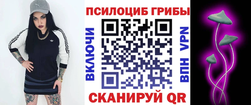 Псилоцибиновые грибы Psilocybine cubensis как найти наркотики Струнино